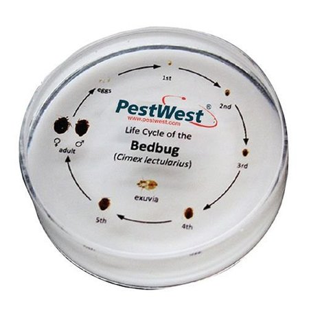PESTWEST USA LLC PestWest CSI Kit Replacement Parts - Bed Bug Specimen Life Cycle ID 340-000081
